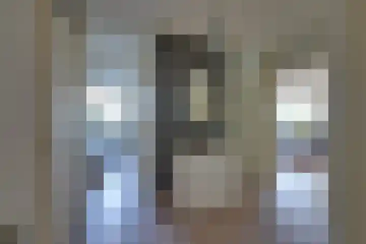 Rosa Spierlaan 360 Amstelveen thumbnail 9