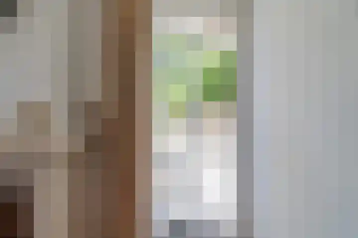 Rosa Spierlaan 8 Amstelveen thumbnail 13