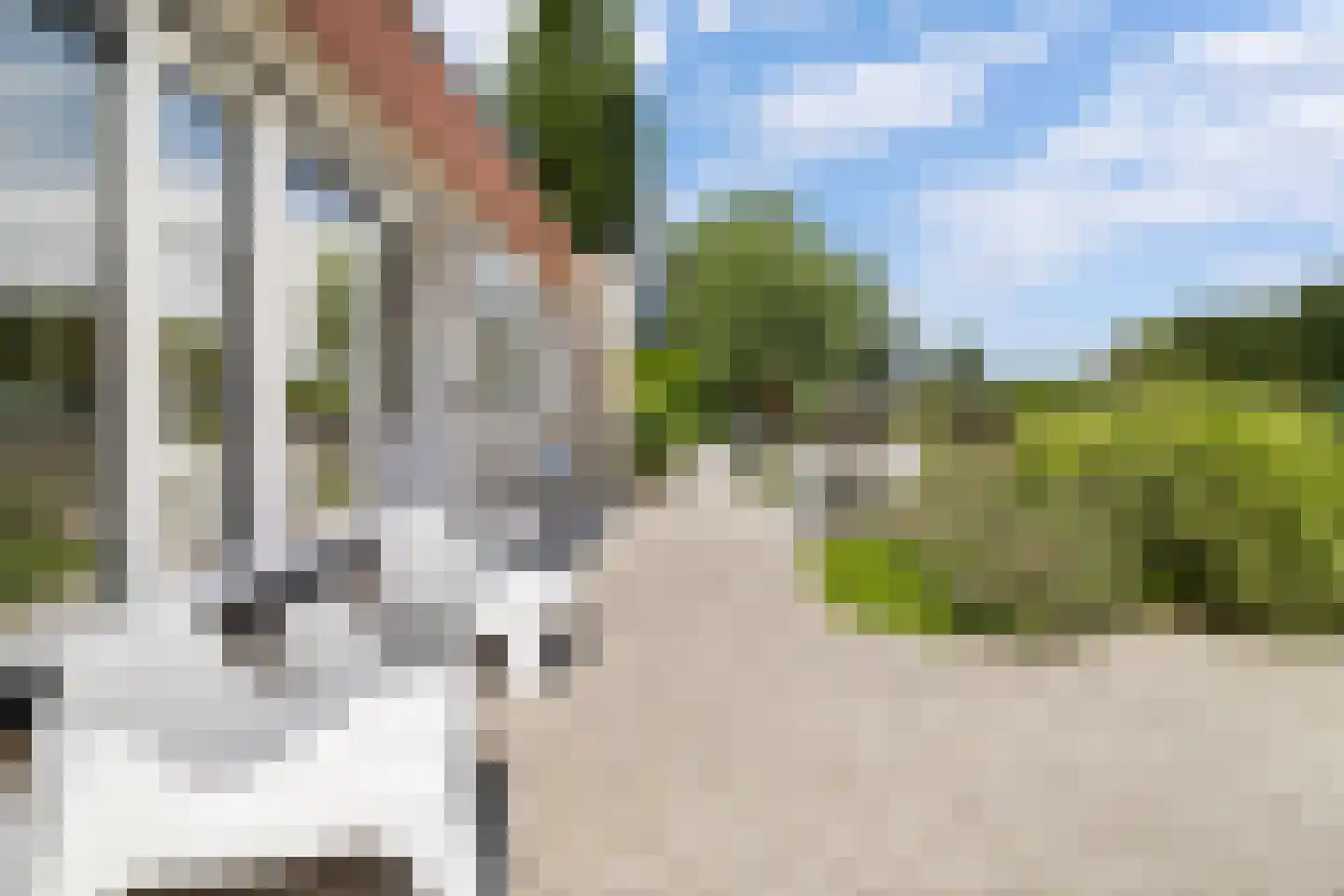 Rosa Spierstraat 1 Castricum thumbnail 39