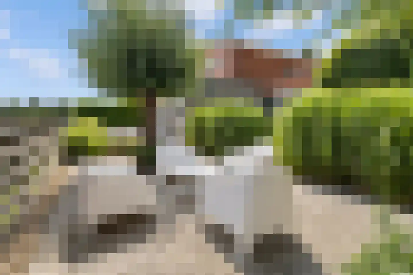 Rosa Spierstraat 1 Castricum thumbnail 41