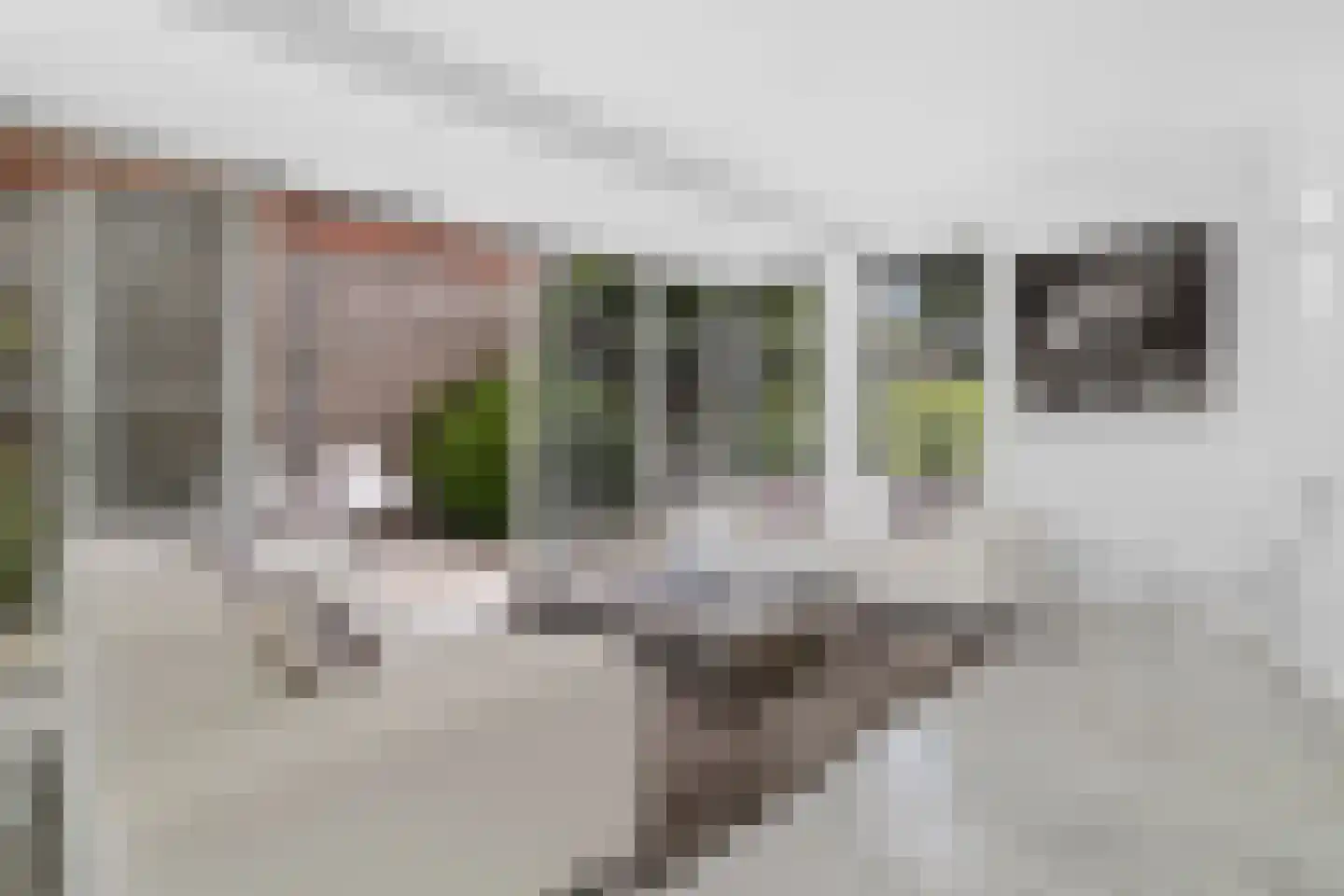 Rosa Spierstraat 1 Castricum thumbnail 8