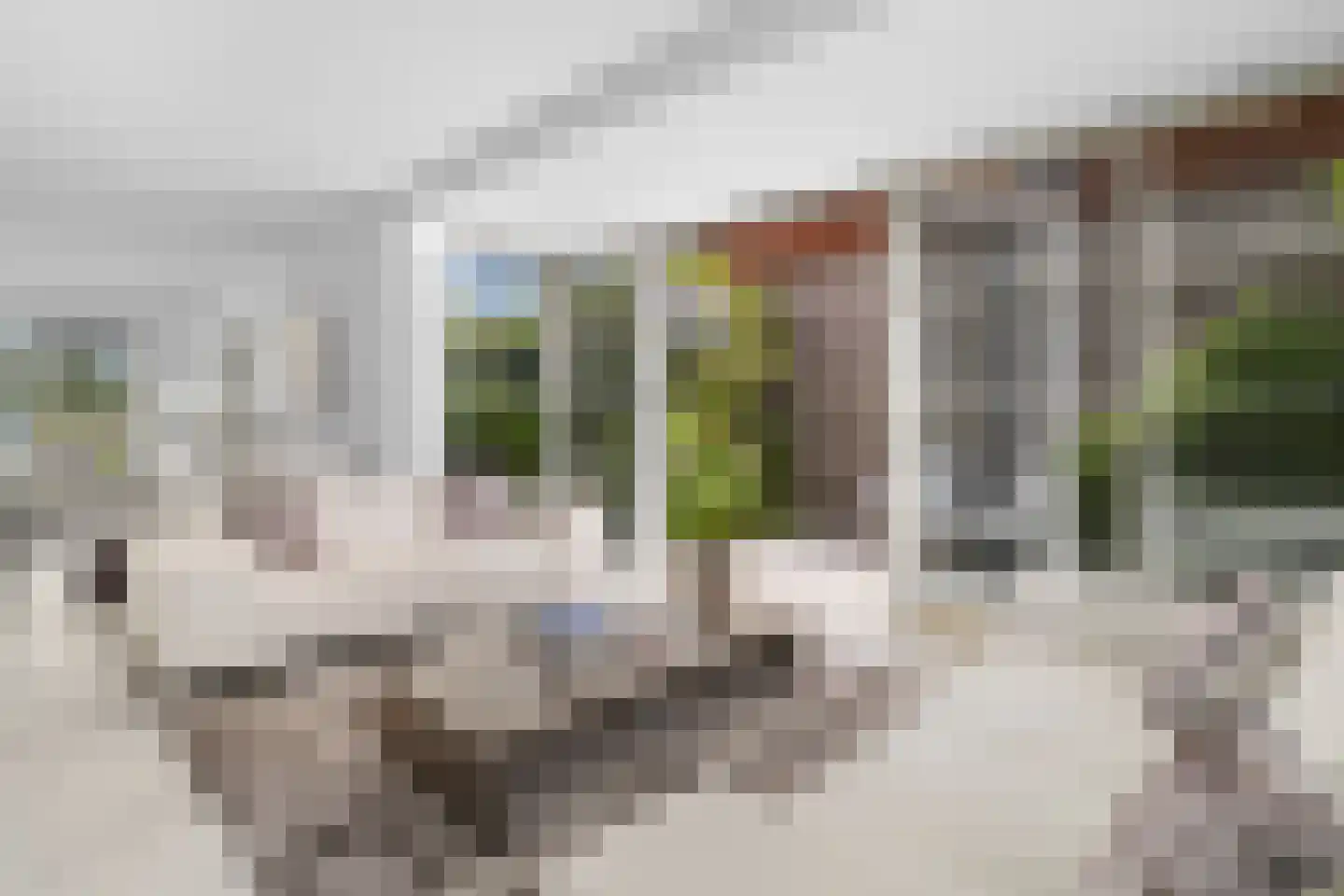 Rosa Spierstraat 1 Castricum thumbnail 9