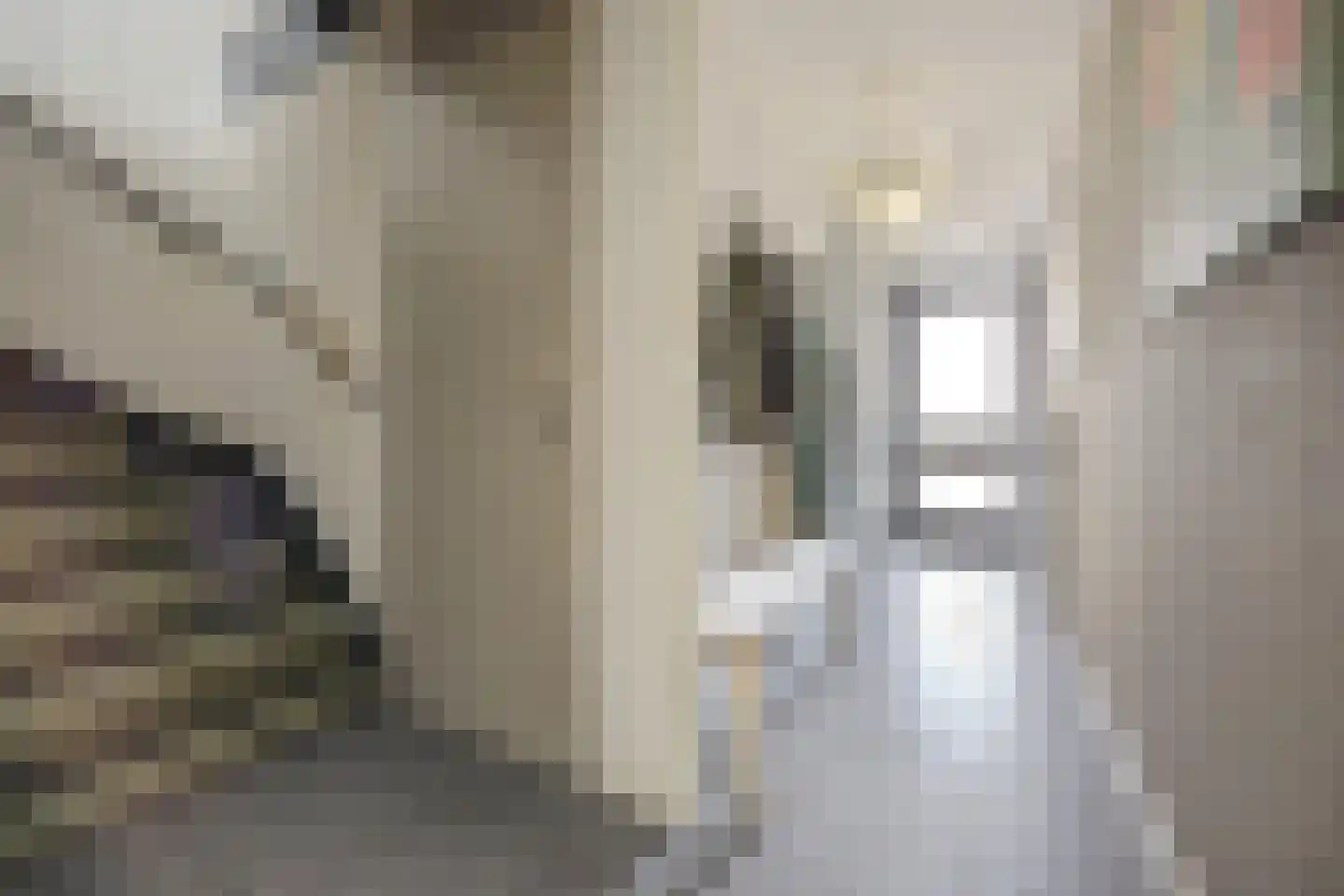 Rosa Spierstraat 12 Spijkenisse thumbnail 19
