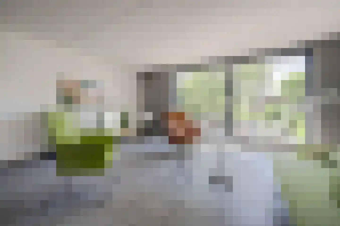 Rosa Spierstraat 12 Spijkenisse thumbnail 8