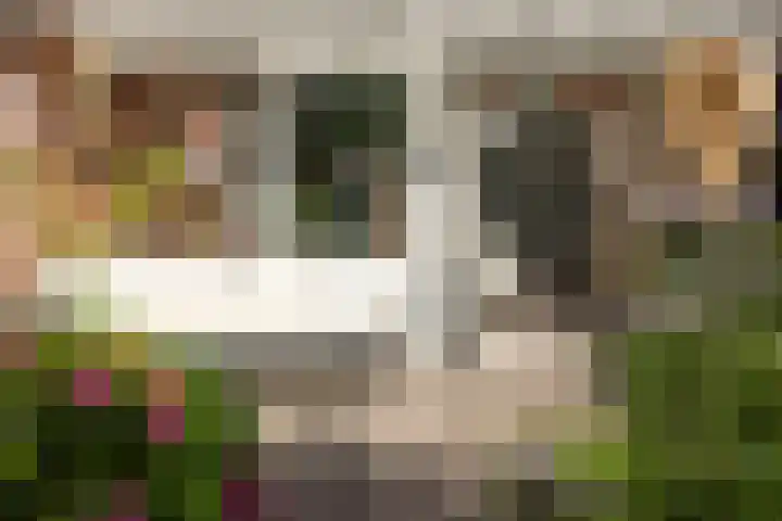 Rosa Spierstraat 36 Hoofddorp thumbnail 22