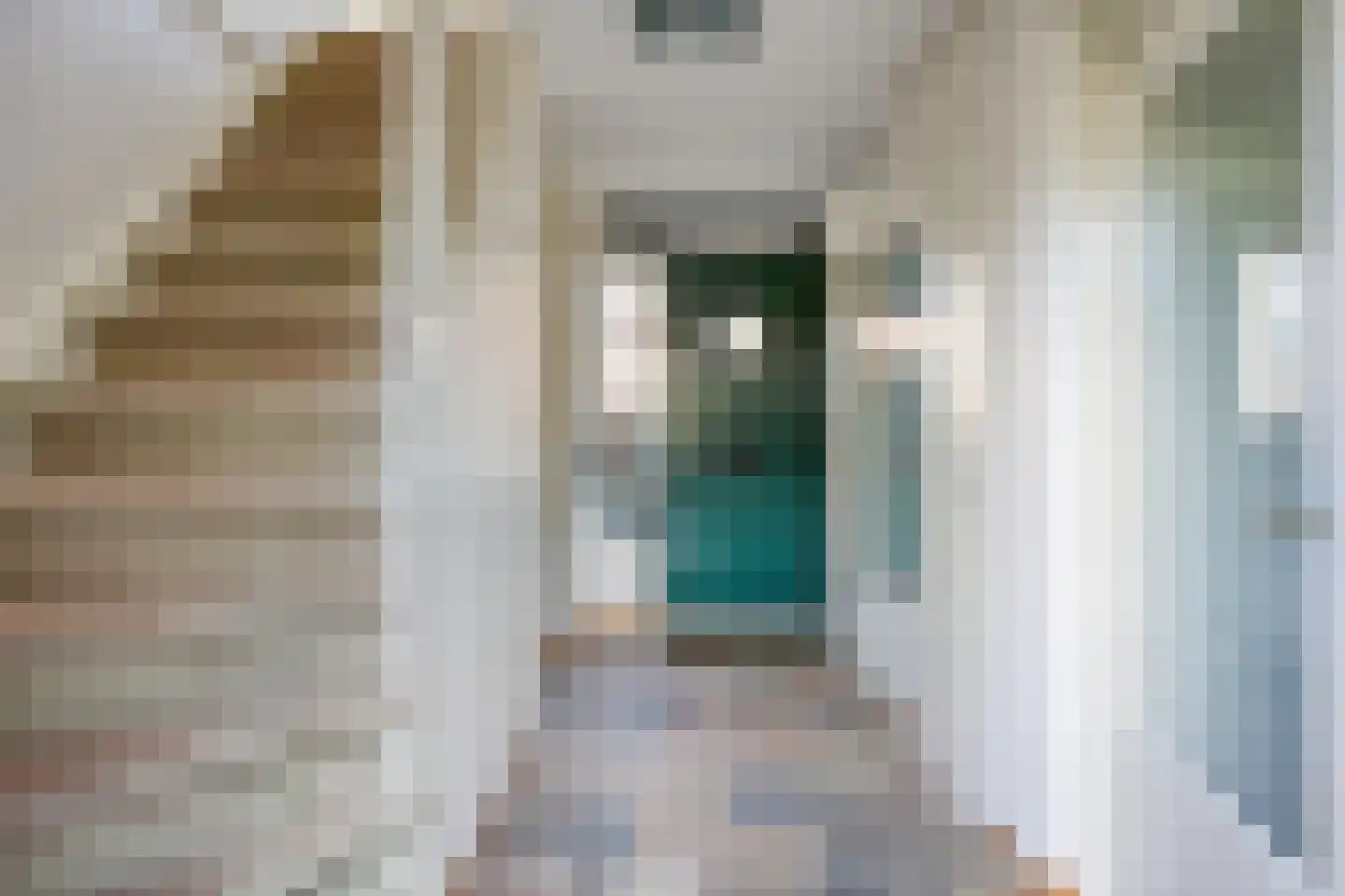 Rosa Spierstraat 38 Hoofddorp thumbnail 11