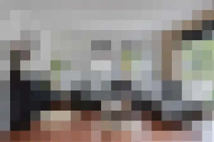 Rosa Spierweg 18 Assen thumbnail 12