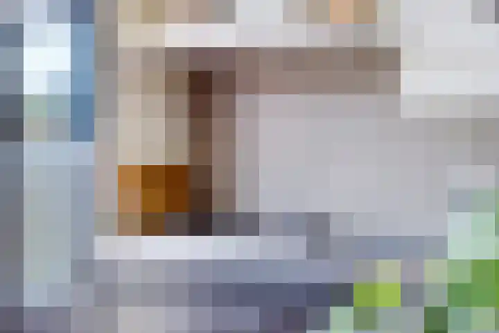 Rosa Spierweg 18 Assen thumbnail 18