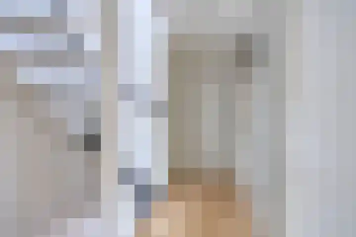 Rosa Spierweg 18 Assen thumbnail 22