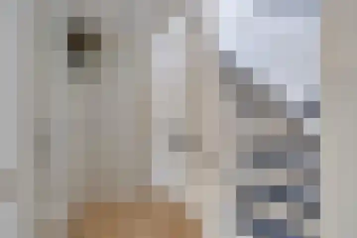 Rosa Spierweg 18 Assen thumbnail 23