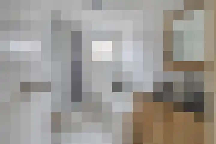 Rosa Spierweg 18 Assen thumbnail 26