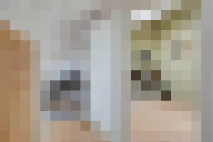 Rosa Spierweg 18 Assen thumbnail 29