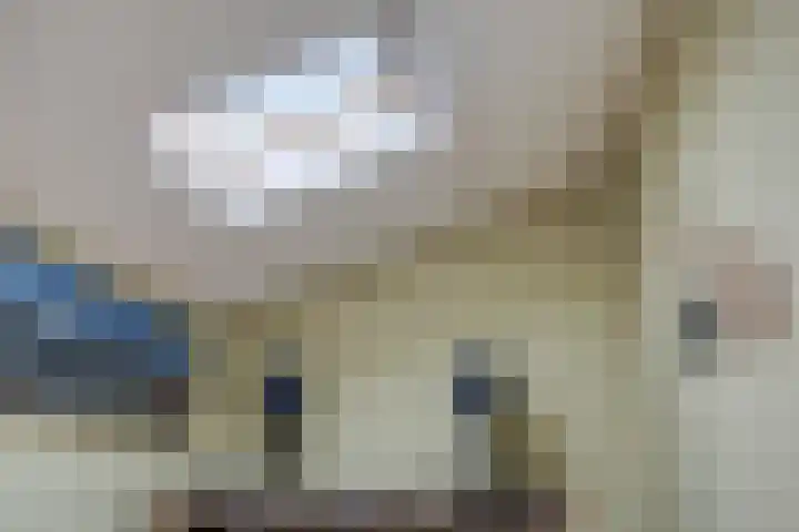 Rosa Spierweg 18 Assen thumbnail 31