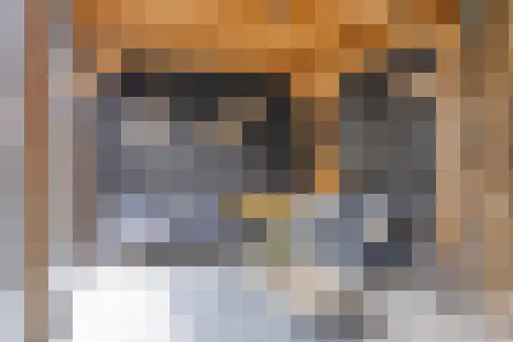 Rosa Spierweg 18 Assen thumbnail 35