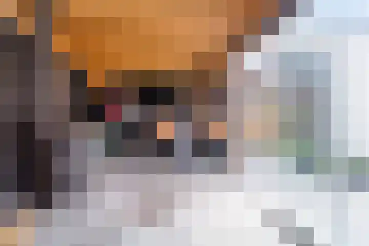 Rosa Spierweg 18 Assen thumbnail 36