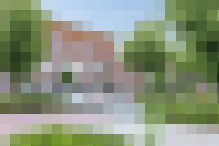 Rosa Spierweg 18 Assen thumbnail 38