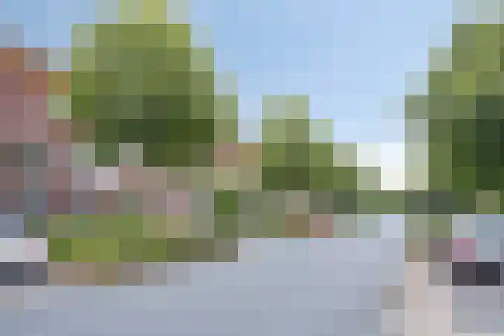 Rosa Spierweg 18 Assen thumbnail 39