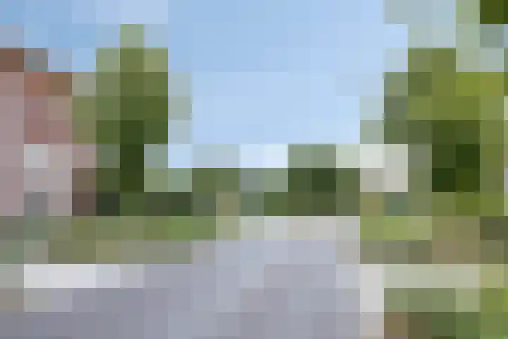 Rosa Spierweg 18 Assen thumbnail 40