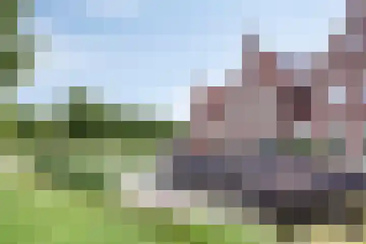 Rosa Spierweg 18 Assen thumbnail 41