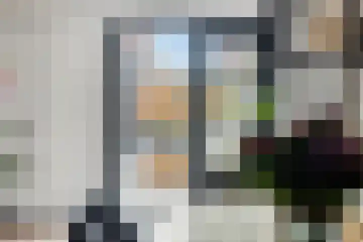 Rosa Spierweg 37 Assen thumbnail 20