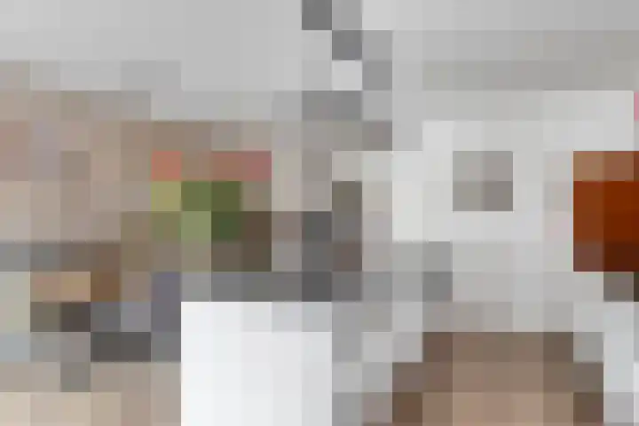 Rosa Spierweg 37 Assen thumbnail 22