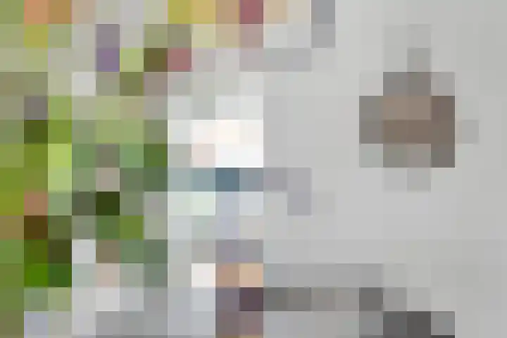 Rosa Spierweg 37 Assen thumbnail 24