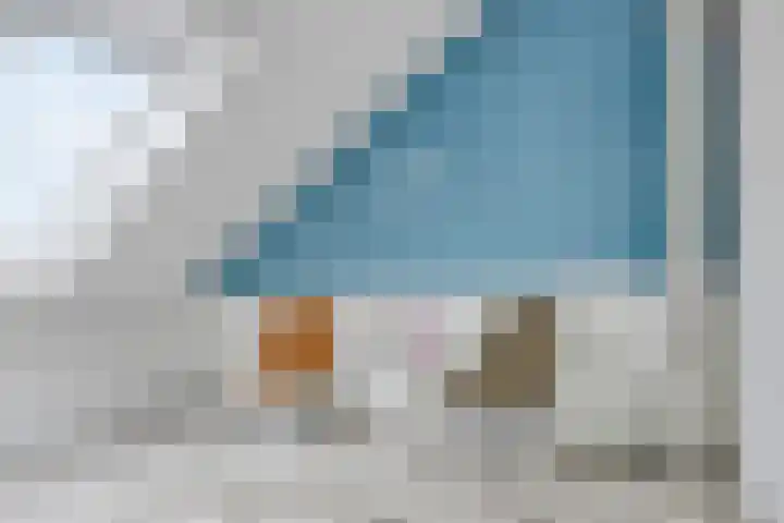 Rosa Spierweg 37 Assen thumbnail 33