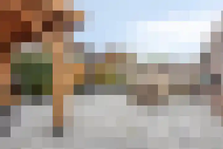 Rosa Spierweg 37 Assen thumbnail 40
