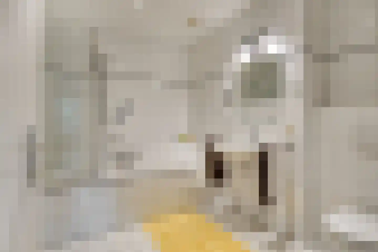 Rosabeemd 1 Maastricht thumbnail 19