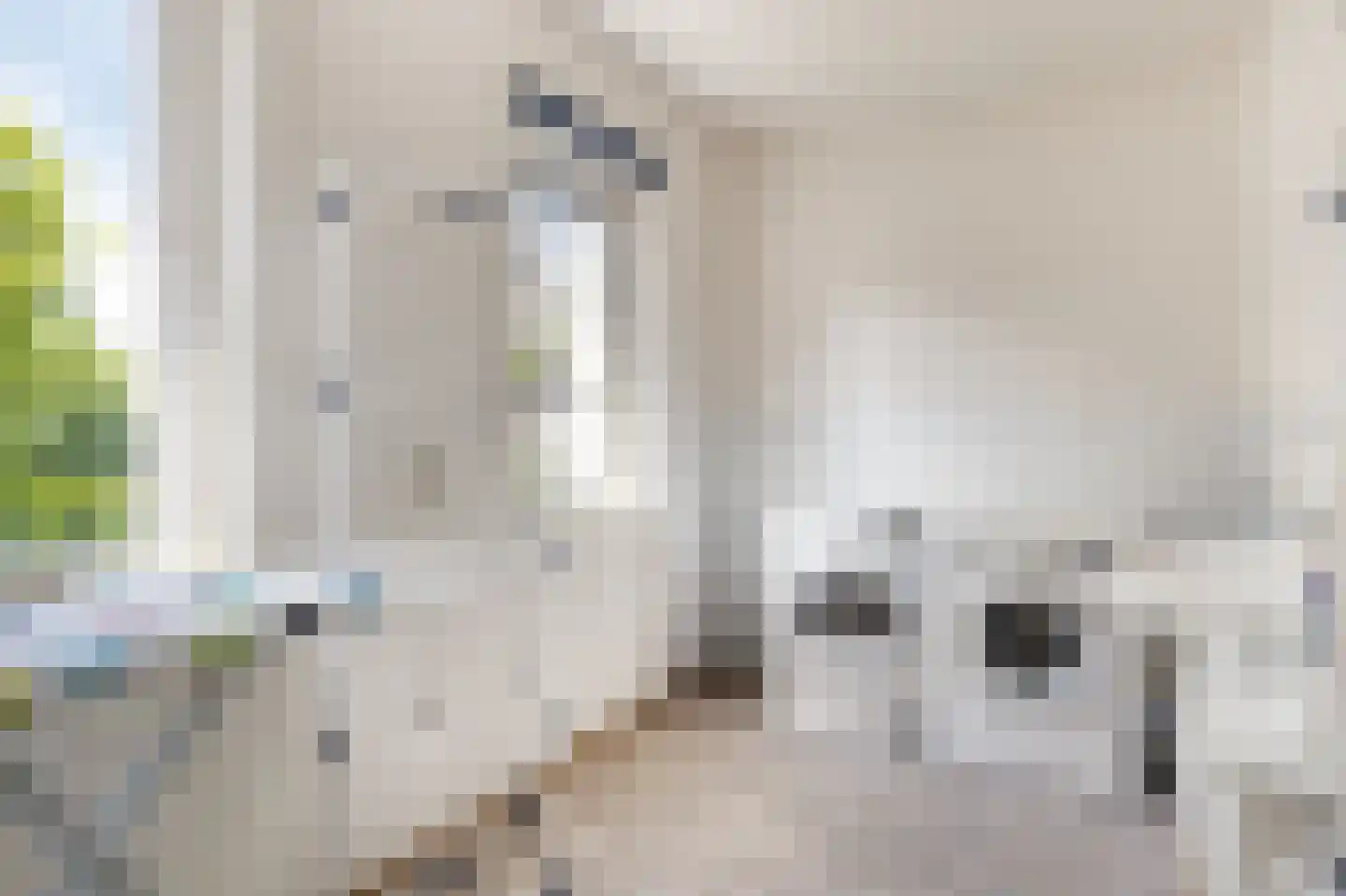 Rosabeemd 1 Maastricht thumbnail 22