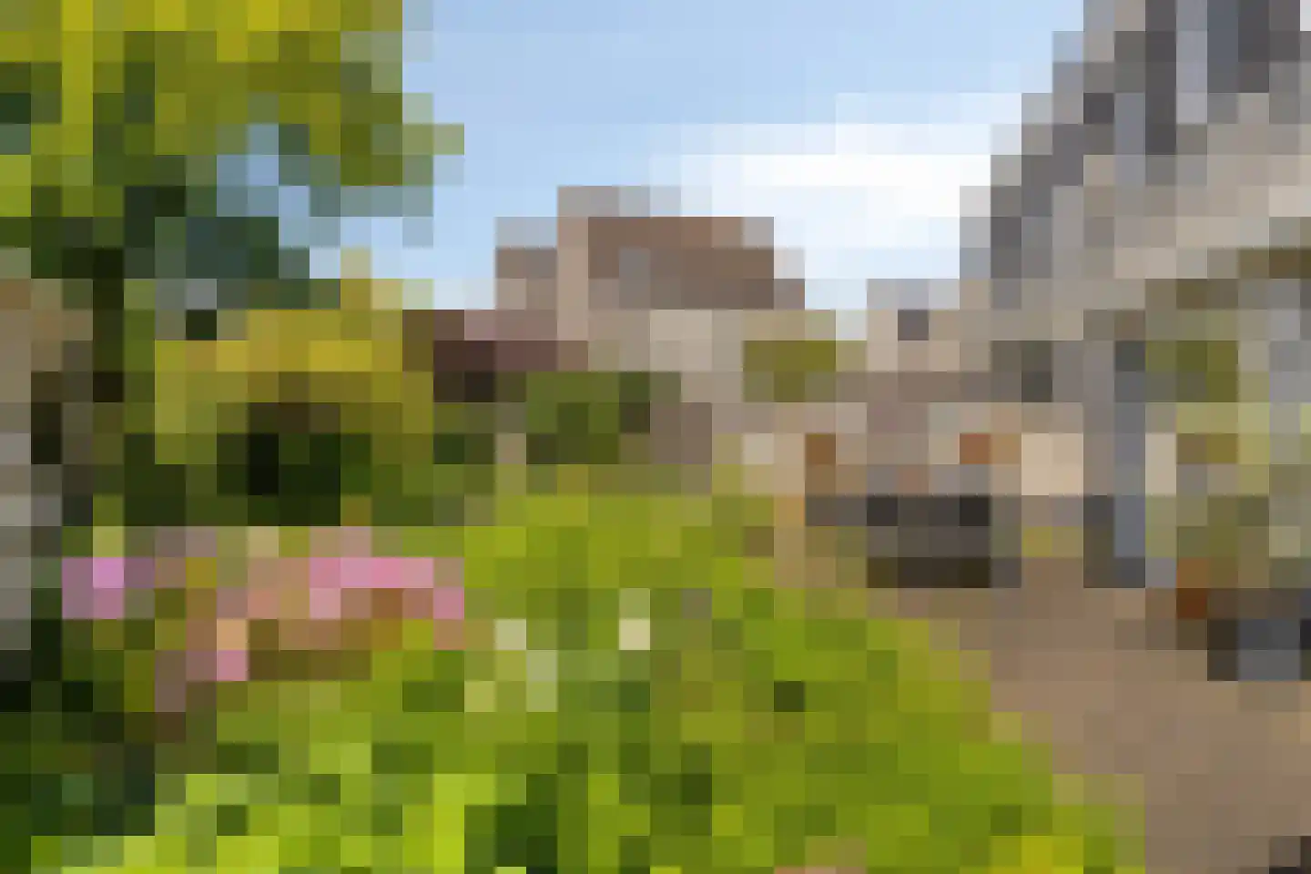 Rosabeemd 1 Maastricht thumbnail 29