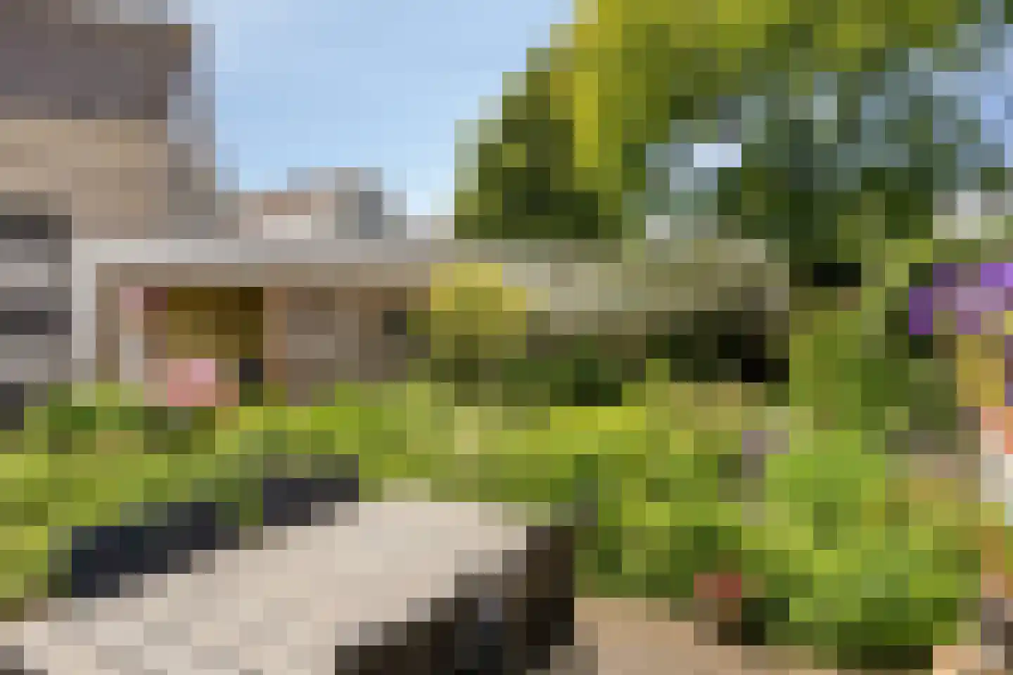 Rosabeemd 1 Maastricht thumbnail 30