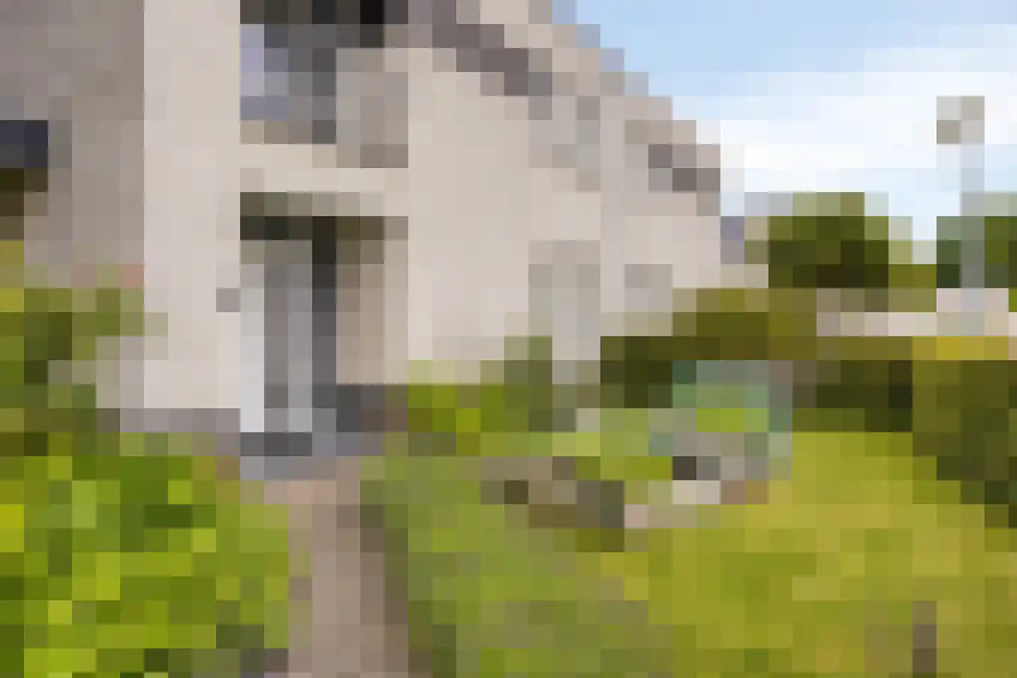 Rosabeemd 1 Maastricht thumbnail 35
