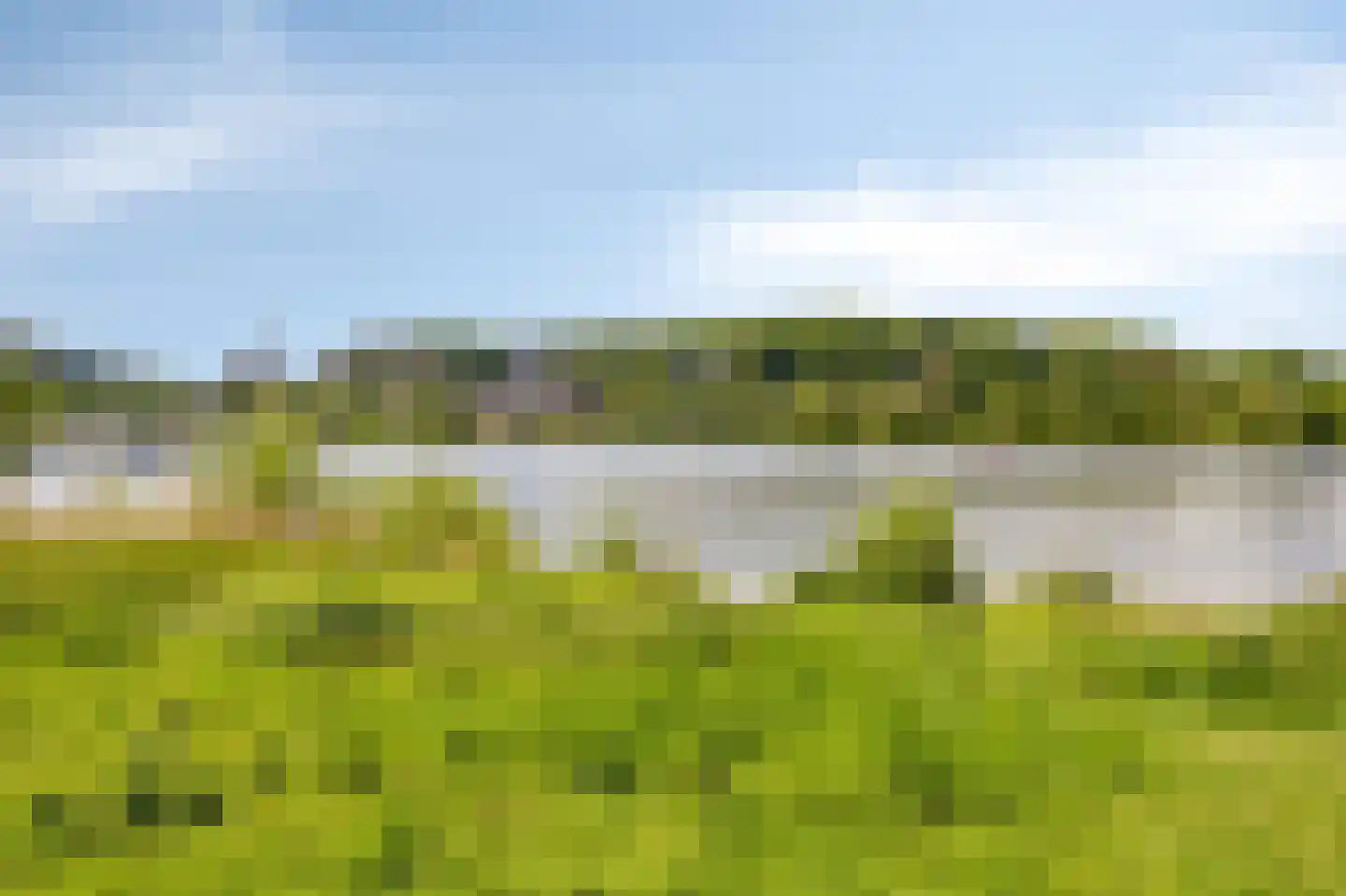 Rosabeemd 1 Maastricht thumbnail 37