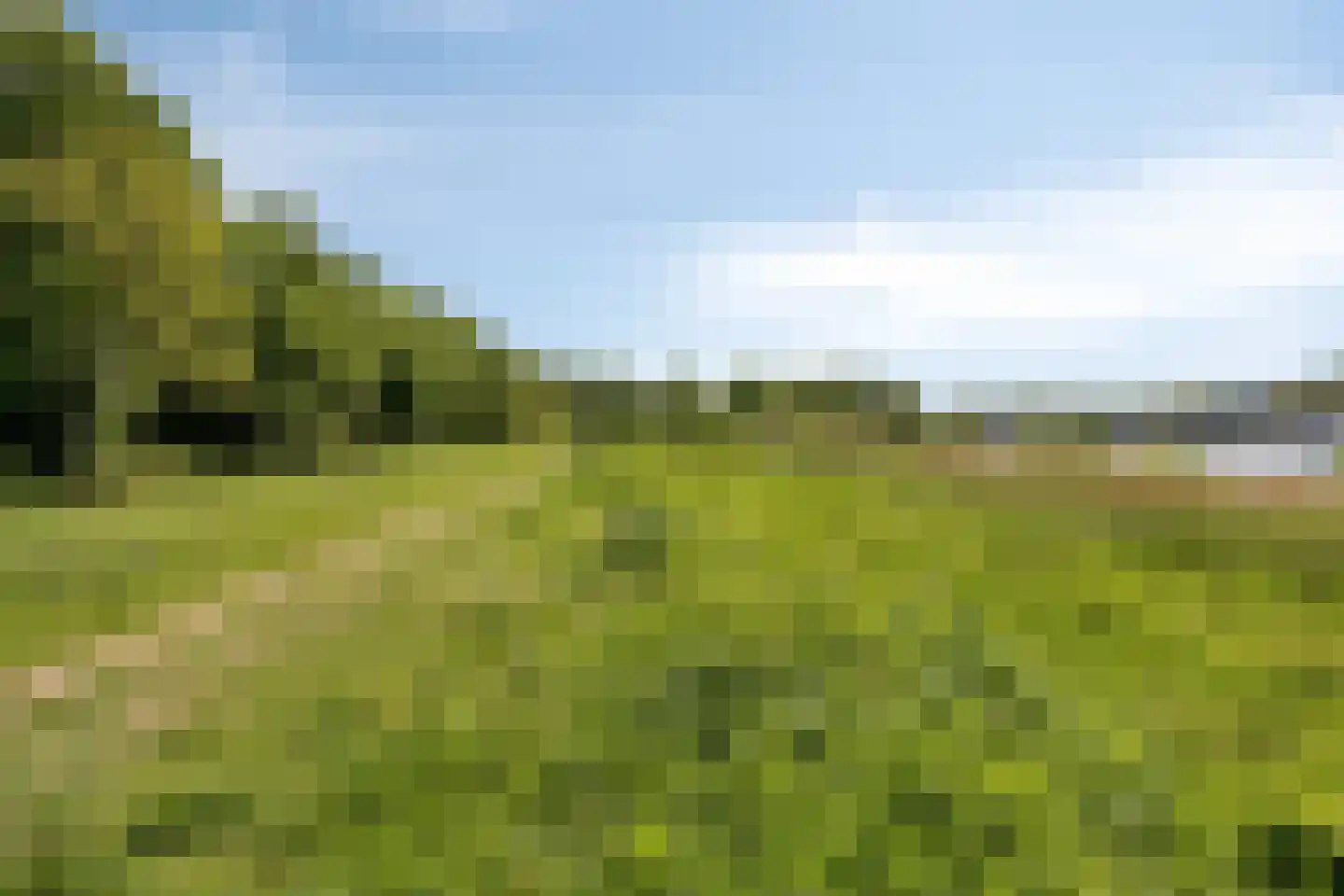 Rosabeemd 1 Maastricht thumbnail 38