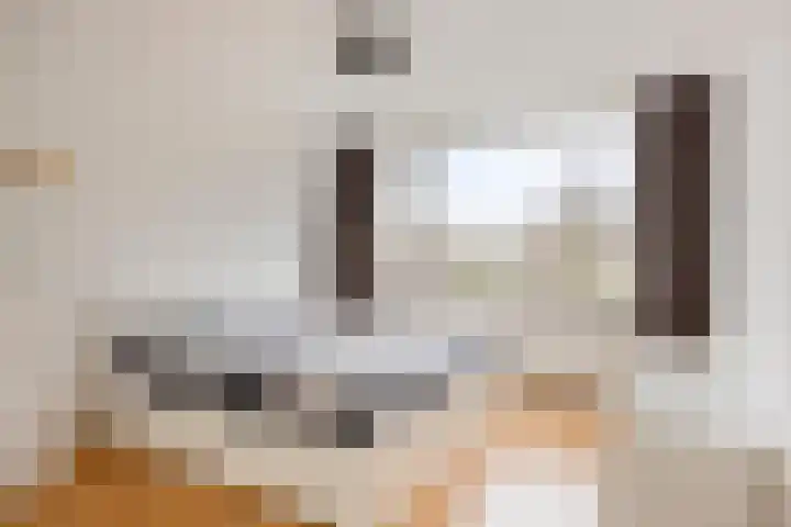 Rosakker 3 Bergeijk thumbnail 15