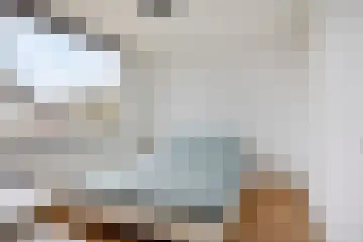 Rosakker 3 Bergeijk thumbnail 17