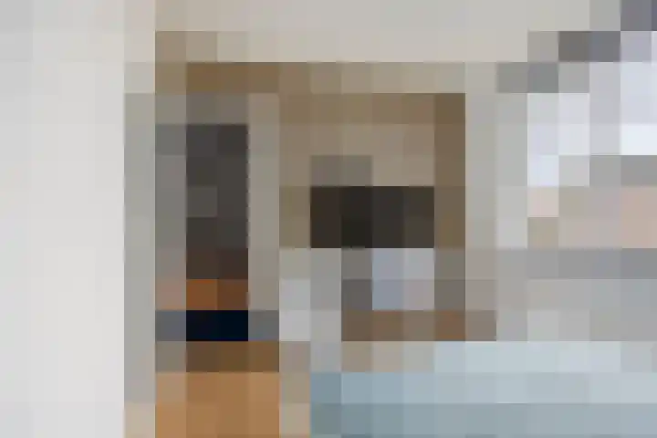 Rosakker 3 Bergeijk thumbnail 18