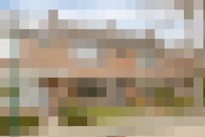 Rosakker 3 Bergeijk thumbnail 4
