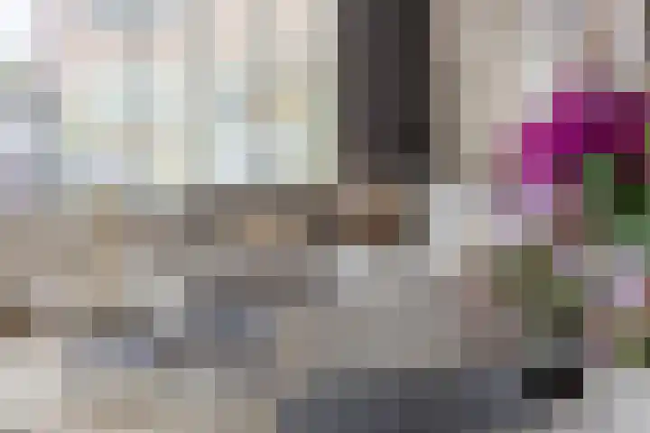 Rosakker 3 Bergeijk thumbnail 8