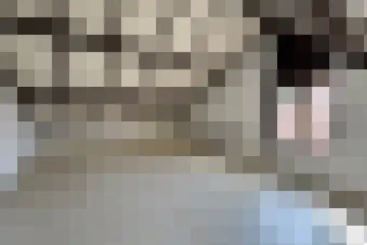 Rosakker 30 Bergeijk thumbnail 11