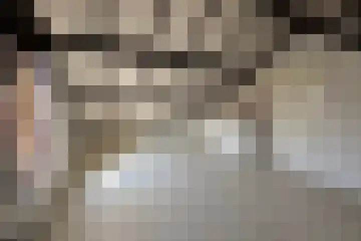 Rosakker 30 Bergeijk thumbnail 12