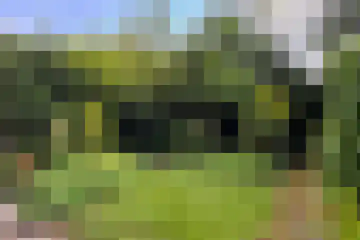 Rosakker 30 Bergeijk thumbnail 13