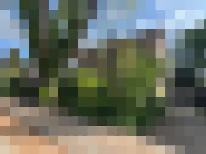 Rosakker 30 Bergeijk thumbnail 17