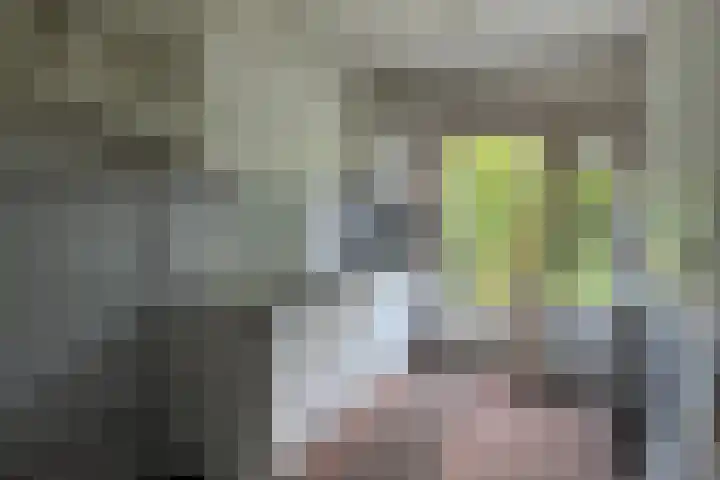 Rosakker 30 Bergeijk thumbnail 5