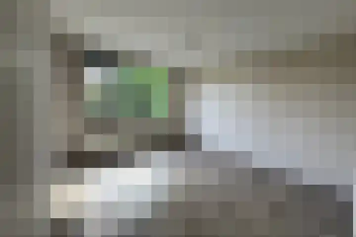 Rosakker 30 Bergeijk thumbnail 6