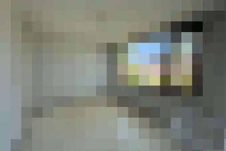 Rosakker 30 Bergeijk thumbnail 9