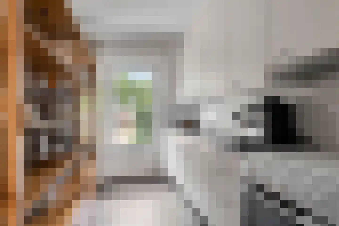 Rosakker 56 Bergeijk thumbnail 15