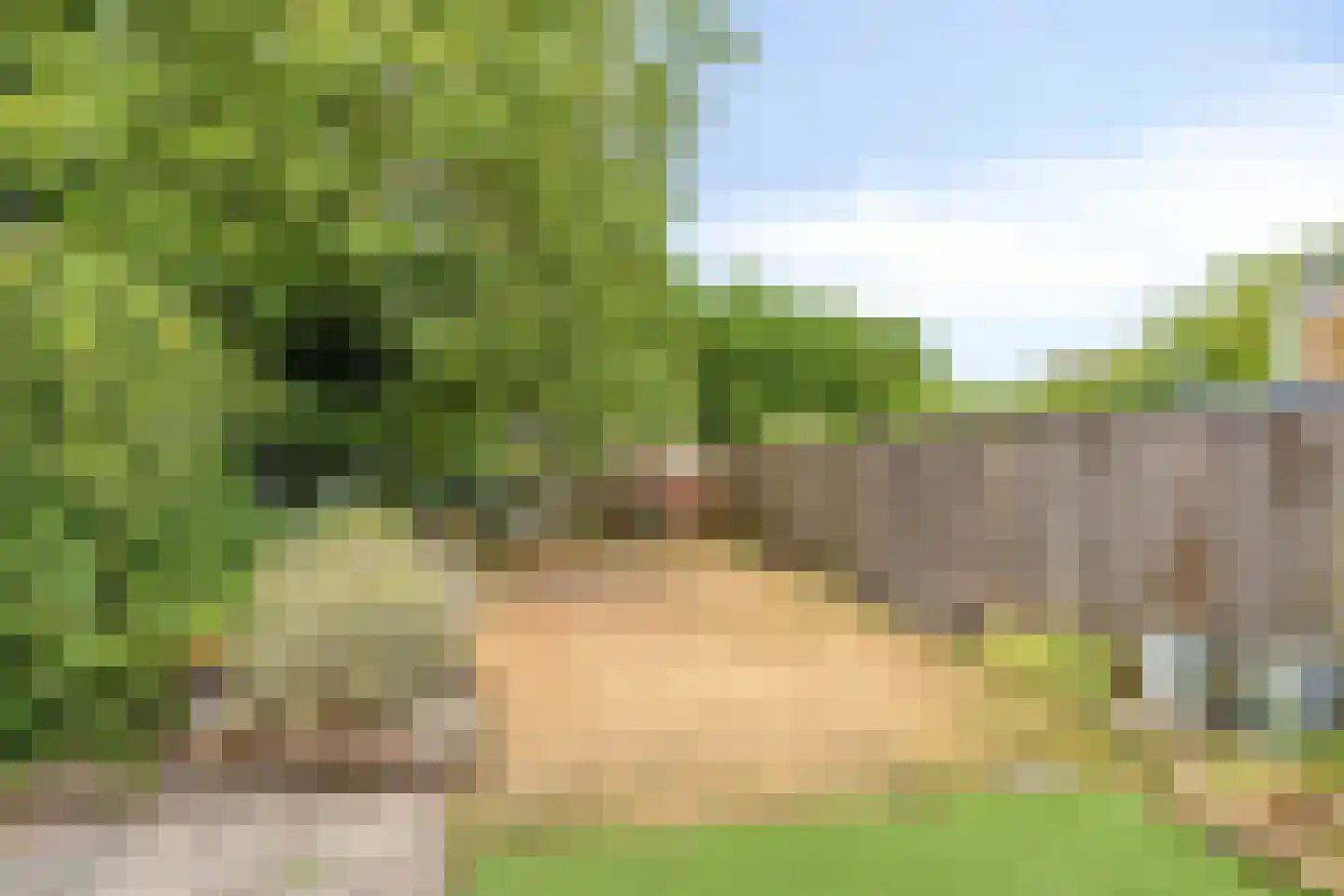 Rosakker 56 Bergeijk thumbnail 34