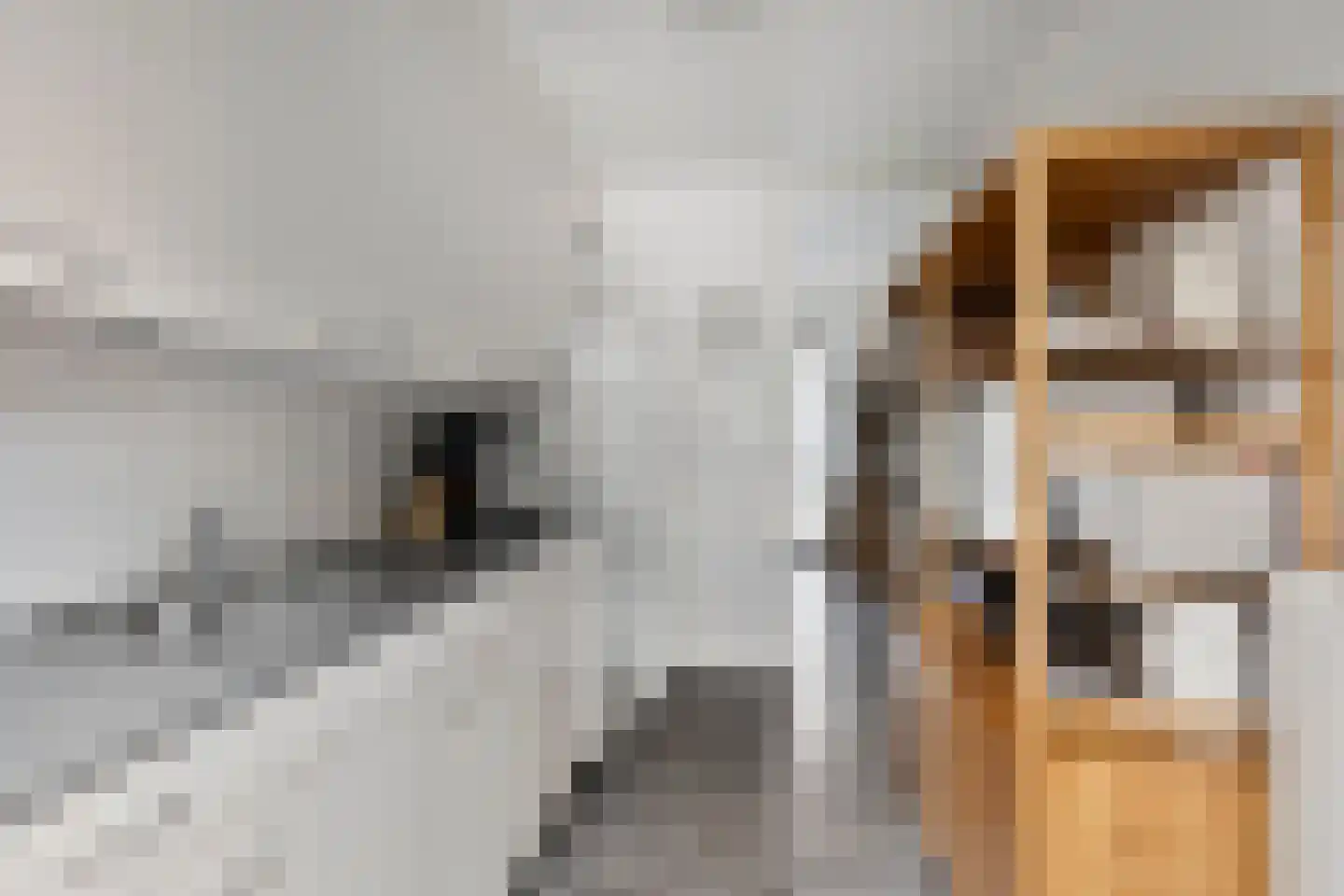 Rosakker 56 Bergeijk thumbnail 4